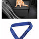  A black with blue leash