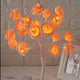  White orange