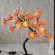  Black orange